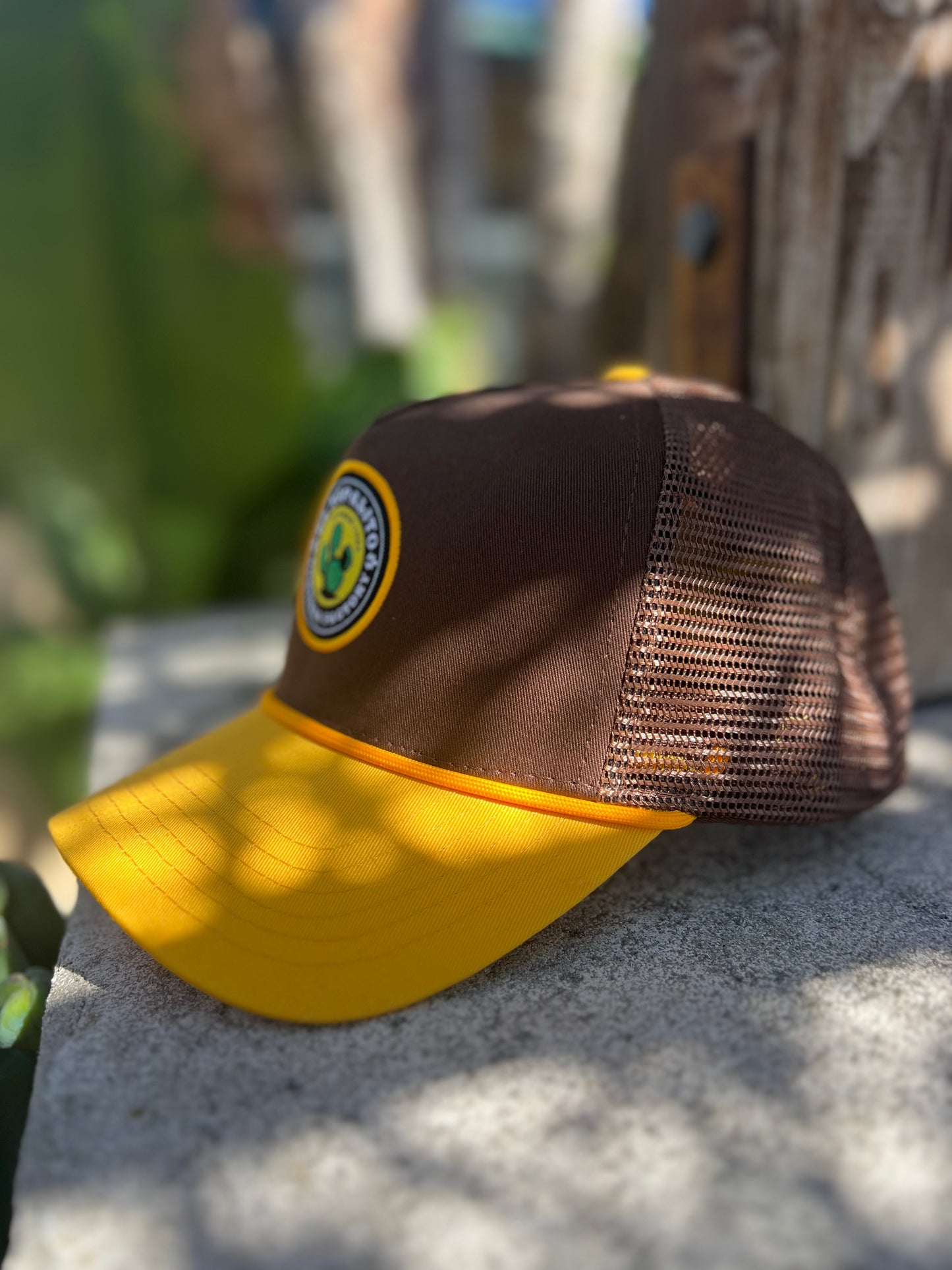 Classic Padres Colors Hat